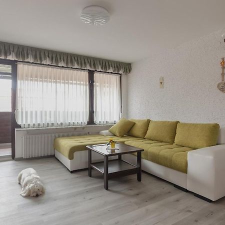 לובליאנה Family Apartment Nakiteya מראה חיצוני תמונה